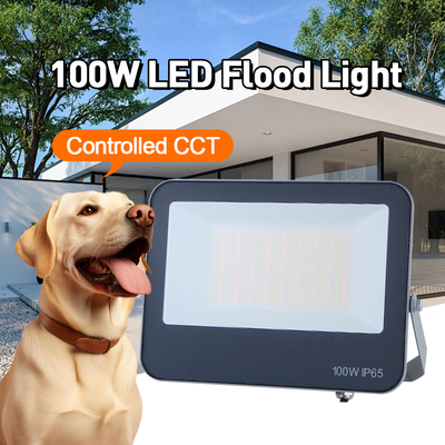 Faretto LED per esterni 3CCT 3000K 4000K 6500K Temperatura colore regolabile IP65 impermeabile materiale grigio Lampada di alta qualità
